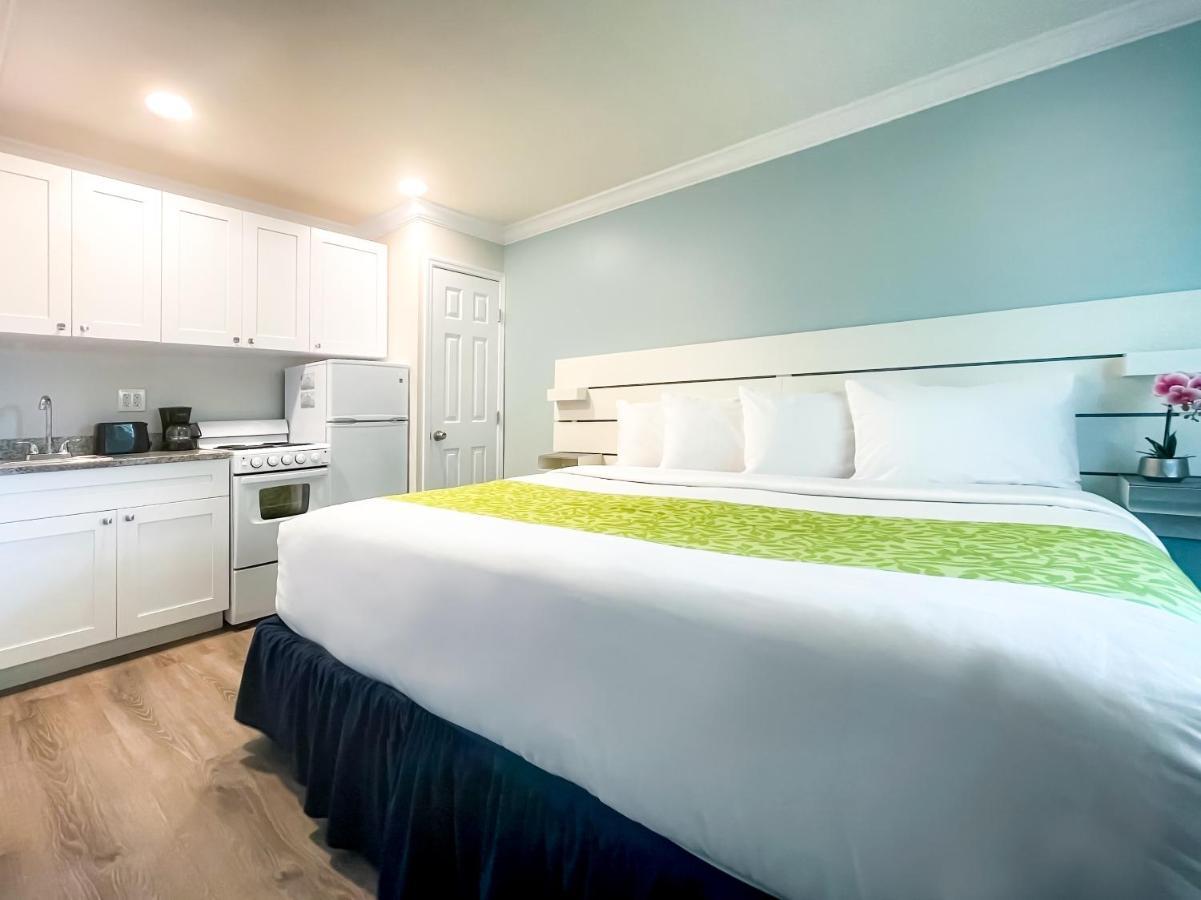 The Clevelander Otel Hollywood Dış mekan fotoğraf